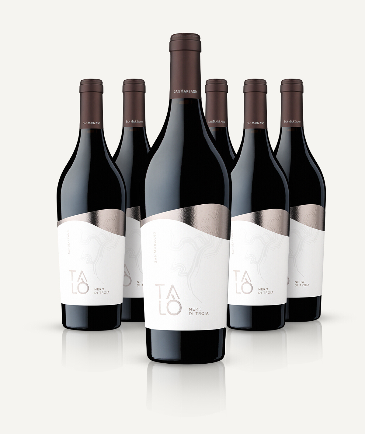 san-marzano-tal-80-nero-di-troia-puglia-igp-coffret-6-bouteilles-vin-rouge image 3