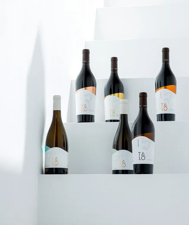 san-marzano-box-d-gustation-tal-6-vins-blancs-et-rouges-puglia-salento image 1