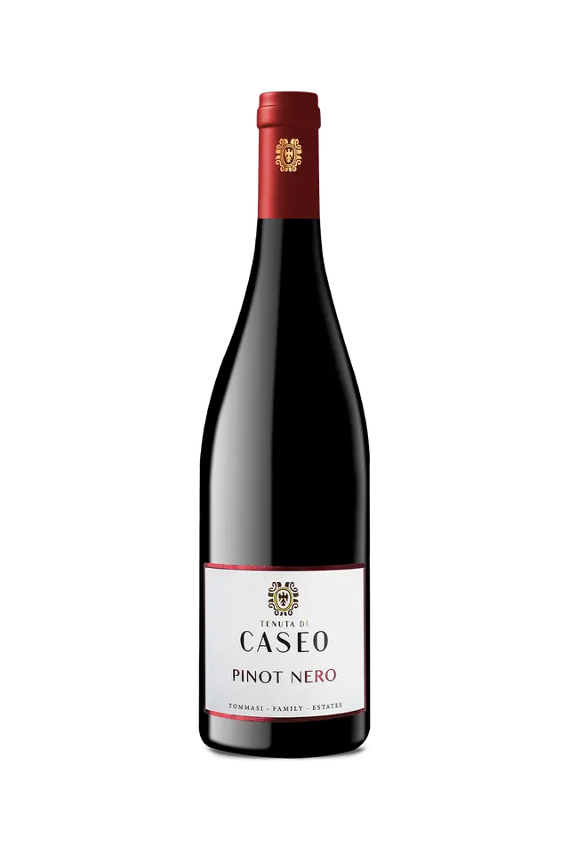 tommasi-il-sestante-pinot-nero-igt-vin-rouge-italien image 1