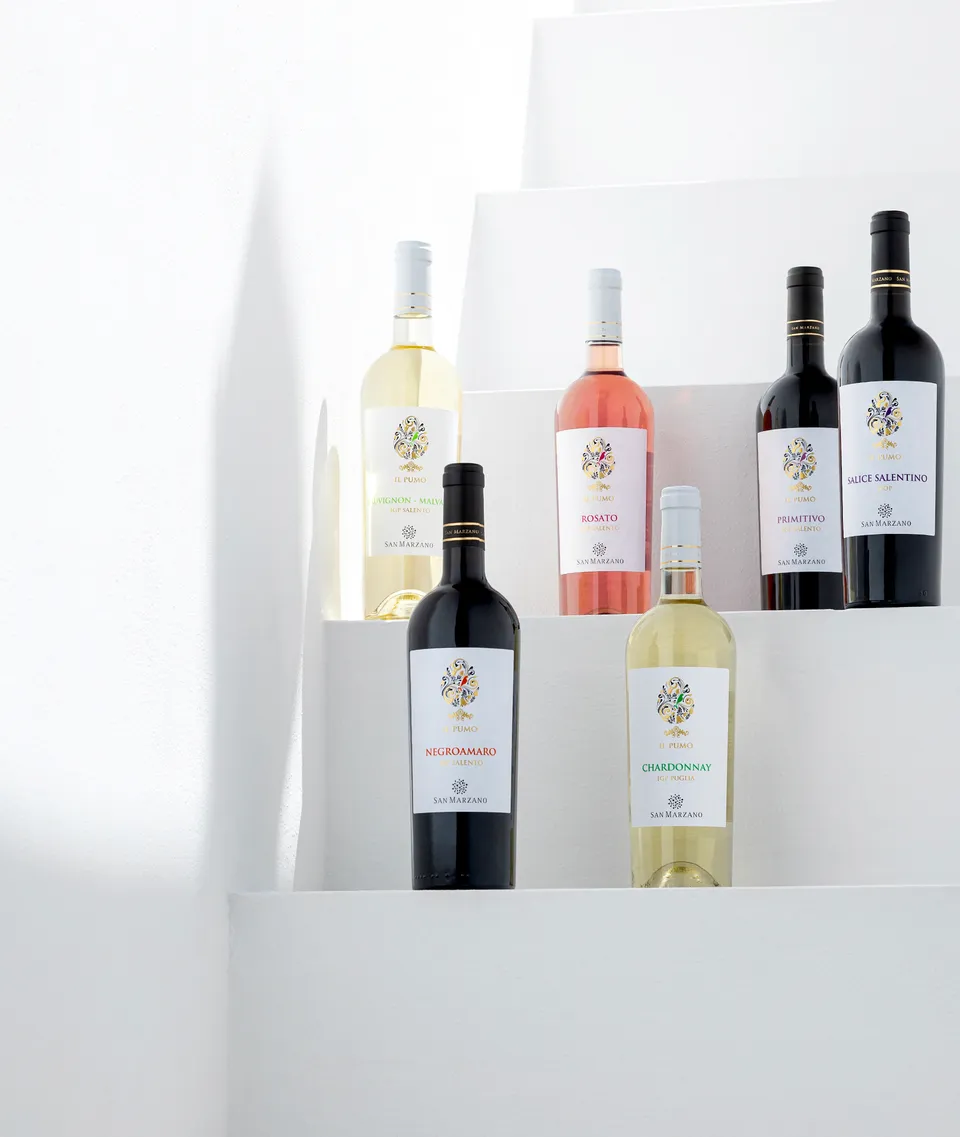 san-marzano-box-d-gustation-il-pumo-6-vins-des-pouilles image 1