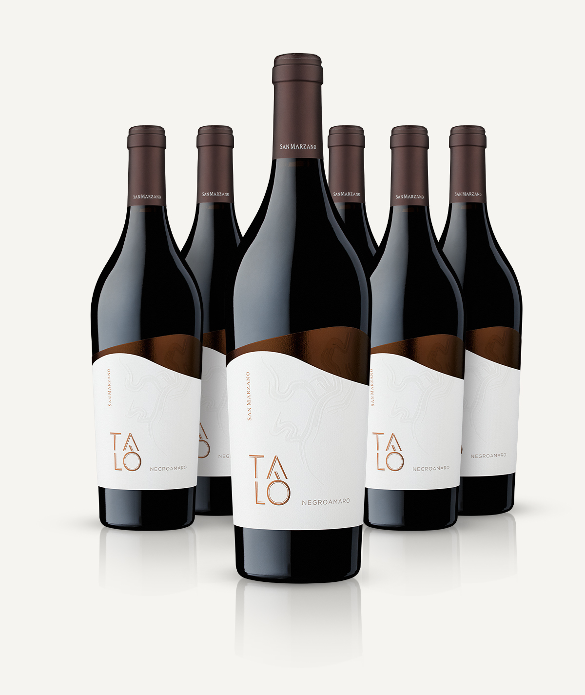 san-marzano-tal-negroamaro-salento-igp-vin-rouge-box-6-bouteilles image 3