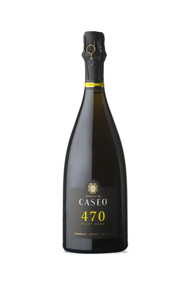 tommasi-470-pinot-nero-metodo-classico-vsq-vin-effervescent-italien image 1