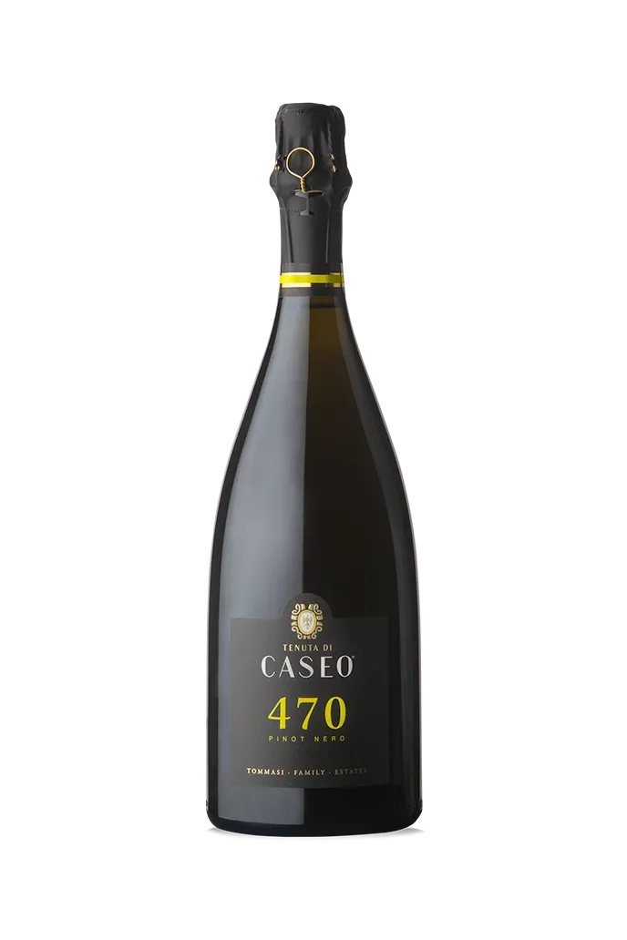 tommasi-470-pinot-nero-metodo-classico-vsq-vin-effervescent-italien image 1