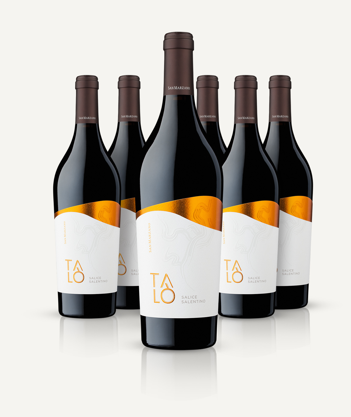san-marzano-tal-salice-salentino-dop-vin-rouge-coffret-6-bouteilles image 3