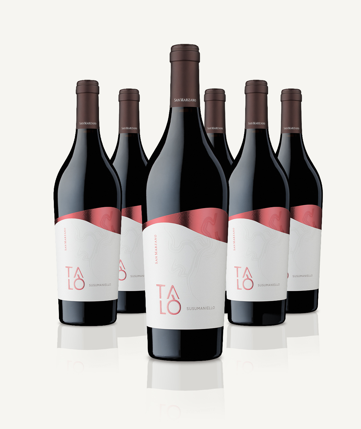 san-marzano-tal-susumaniello-salento-igp-vin-rouge-box-6-bouteilles image 3