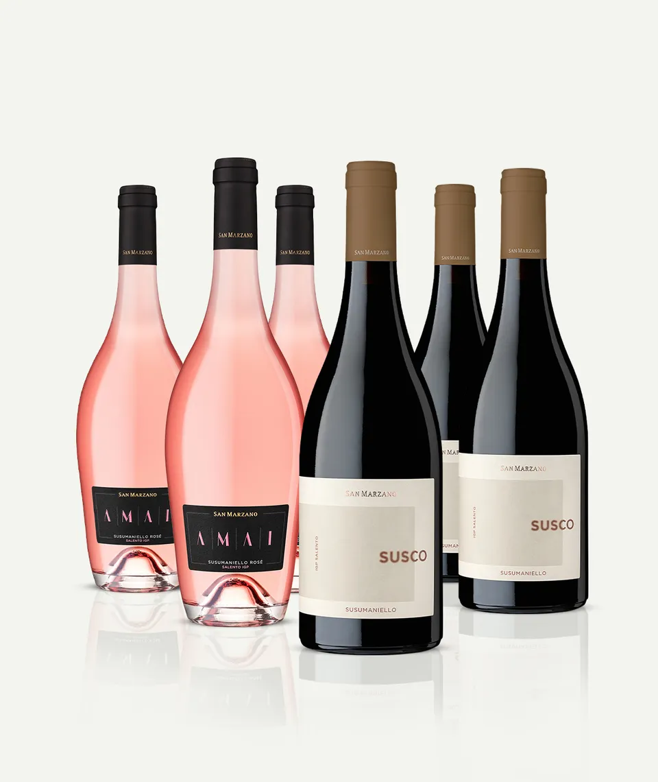 san-marzano-box-de9gustation-susumaniello-susco-rouge-amai-rose9 image 1