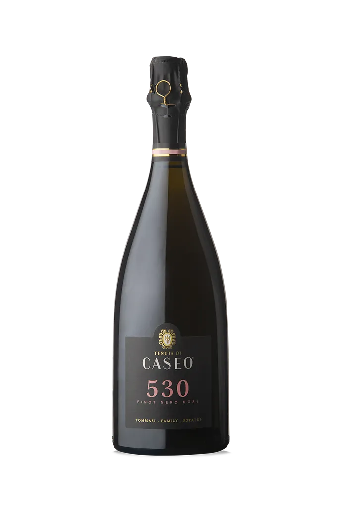 tommasi-530-pinot-nero-ros-metodo-classico-vsq-effervescent-ros-75-cl image 1