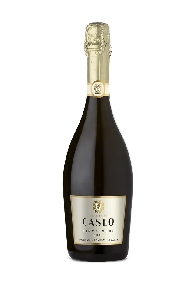 tommasi-pinot-nero-brut-vino-spumante-vin-mousseux image 1