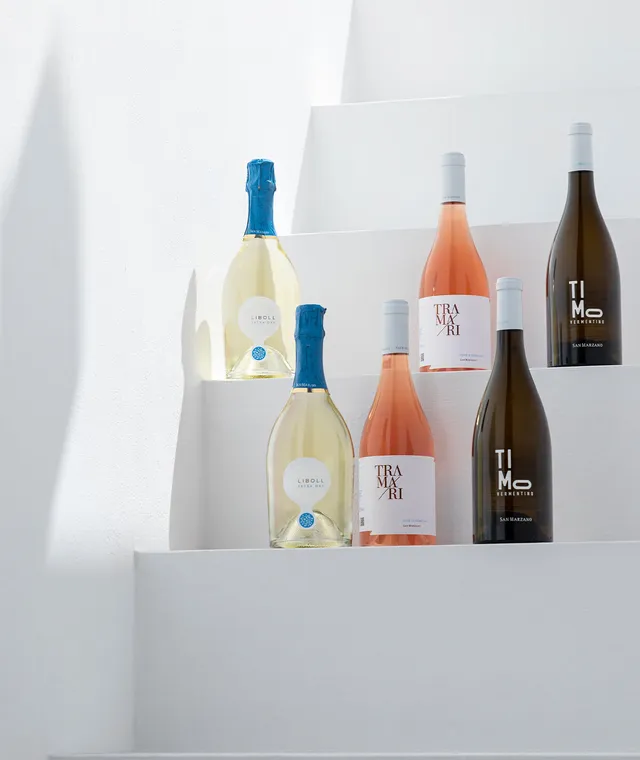 san-marzano-box-d-gustation-t-liboll-extra-dry-timo-vermentino-tramari-ros image 1
