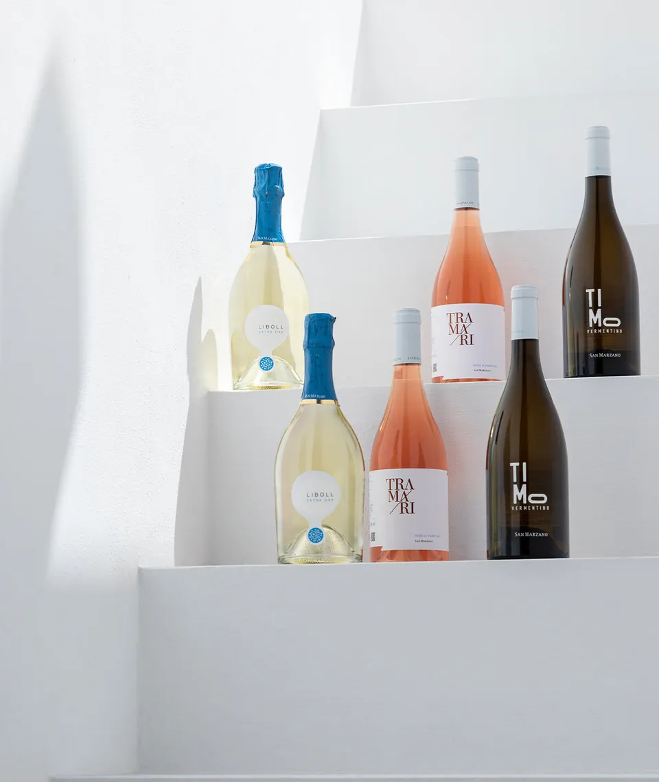 san-marzano-box-d-gustation-t-liboll-extra-dry-timo-vermentino-tramari-ros image 1