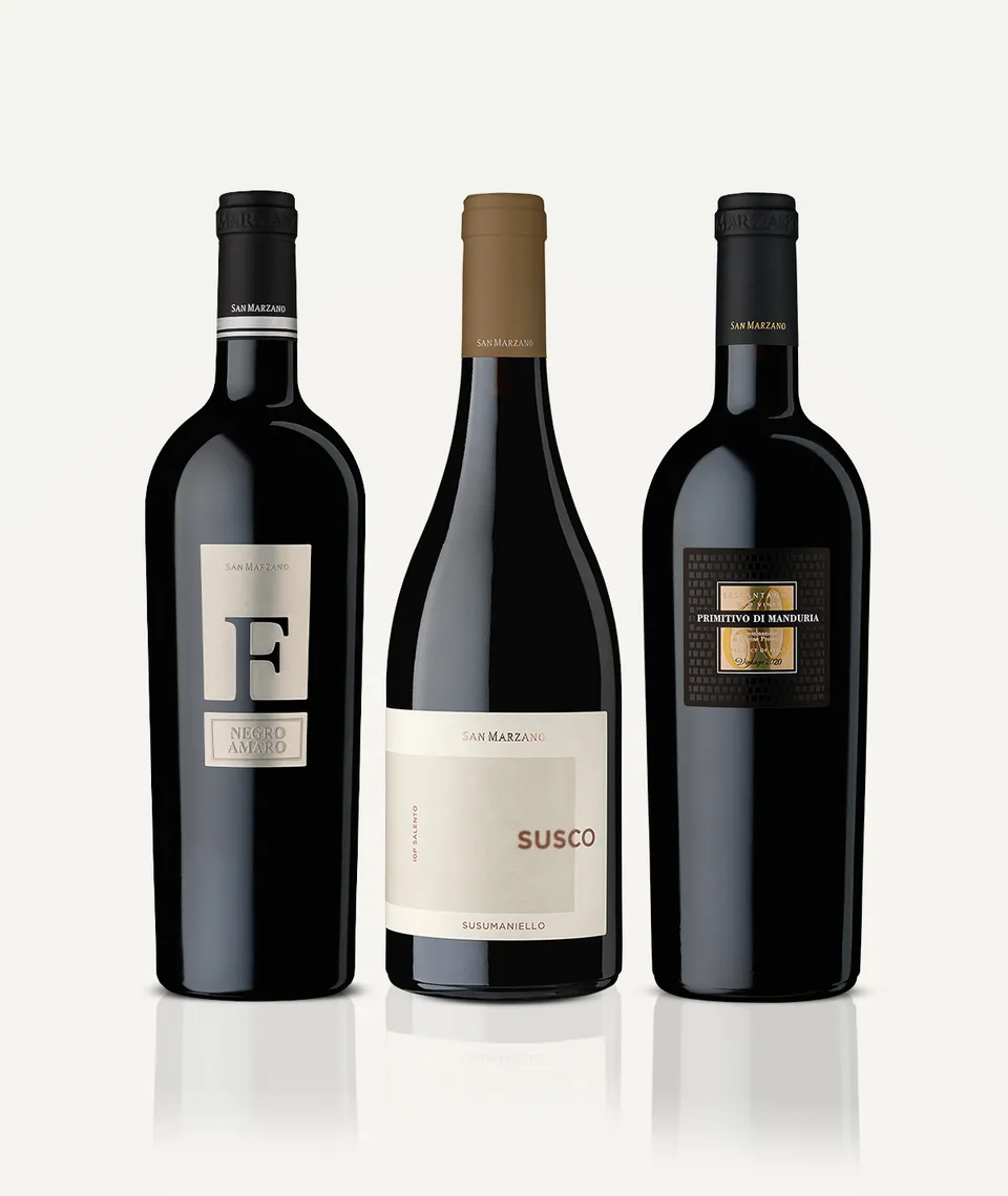 san-marzano-box-d-gustation-top-autochtones-3-bouteilles-primitivo-negroamaro-su image 1